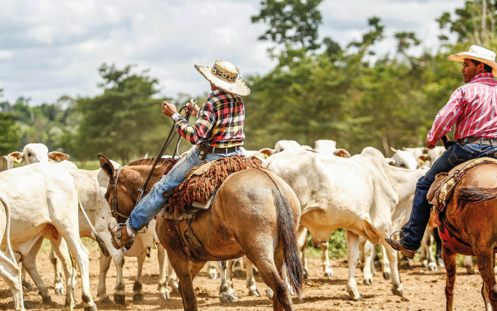 Visão integrada da fazenda