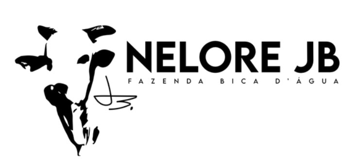 Parceiro 6